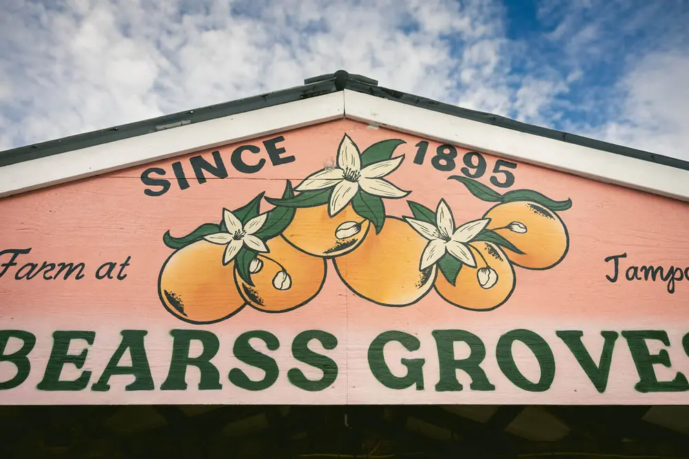 Since 1895 — the hand-painted Bearss Groves sign