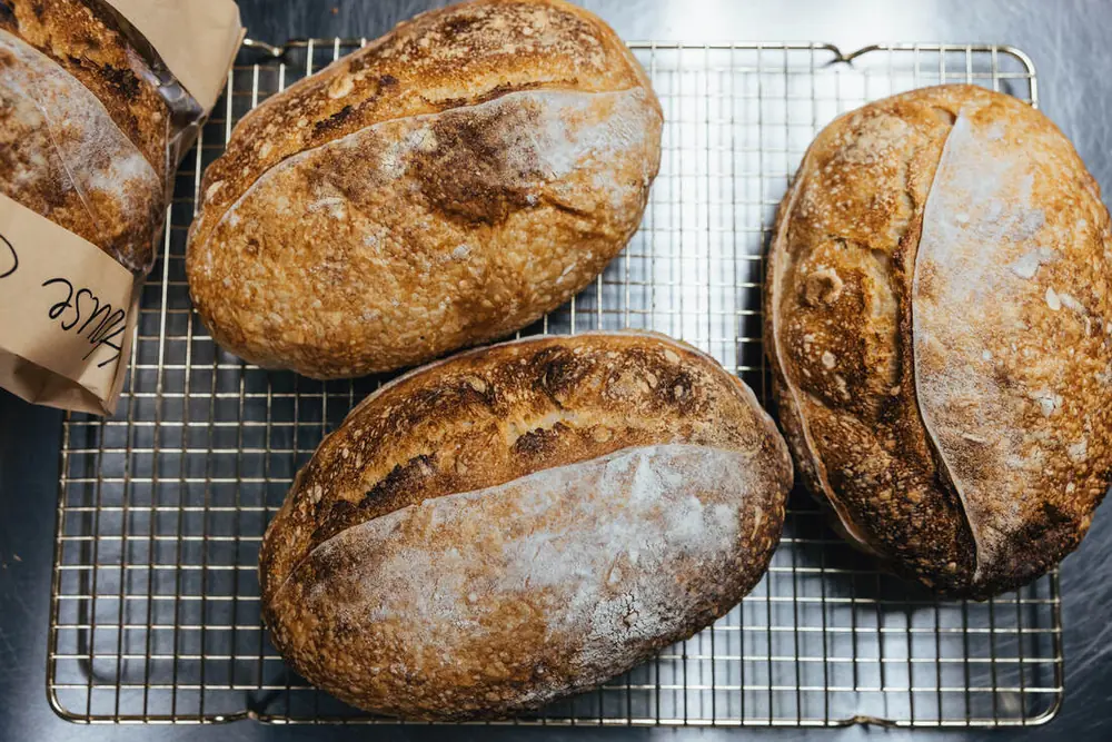House sourdough loaves cooling on a wire rack