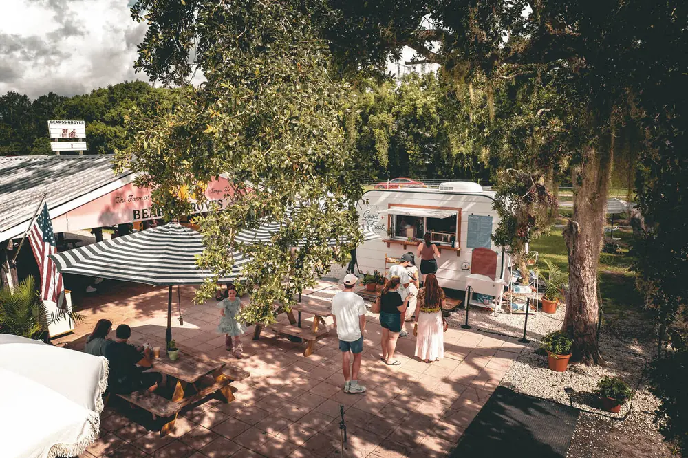 Aerial view of Slow Saturdays at Bearss Groves — Good Fruit camper, striped umbrellas, and picnic tables under the oaks